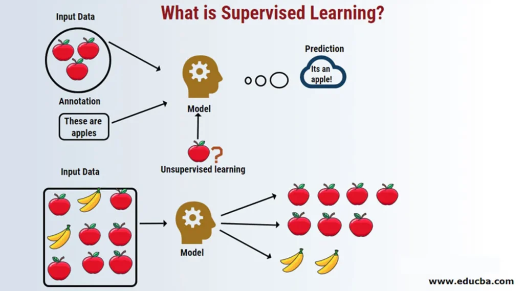 Mastering Supervised Learning: Regression, Classification, and Advanced Algorithms